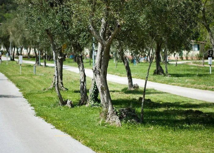 Dom wakacyjny Mobile In With Shared Pool *