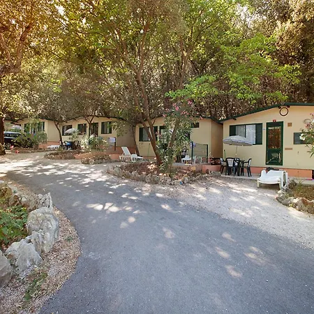 Mobile In With Shared Pool Casa vacanze