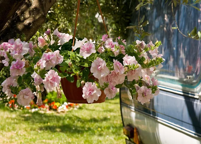 Mobile In With Shared Pool Casa vacanze